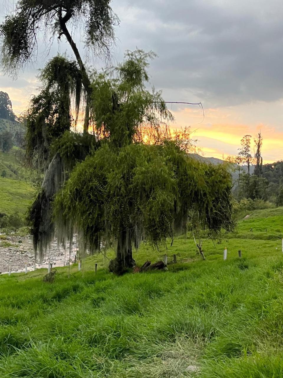 La Lucia Villa Manizales Bagian luar foto